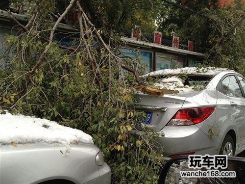 雪后用车5点注意事项 除雪只是其一