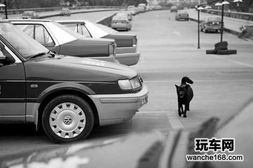 教练因管理费争议 在驾考前夕停训
