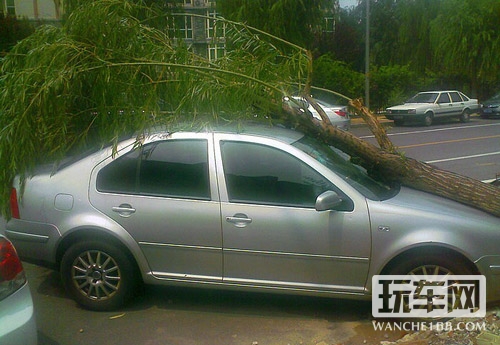 雨天停车有讲究  将车远离危险源