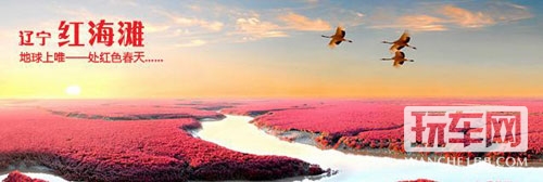 辽宁红海滩，地球上唯一一处红色春天