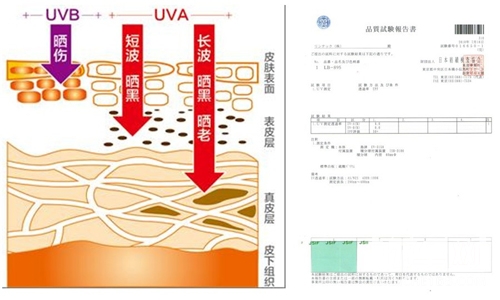 雷朋隔热膜4