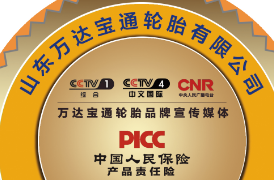 为什么奔驰等豪车选择与她一路同行